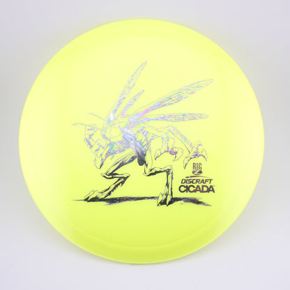 Big_Z_Cicada