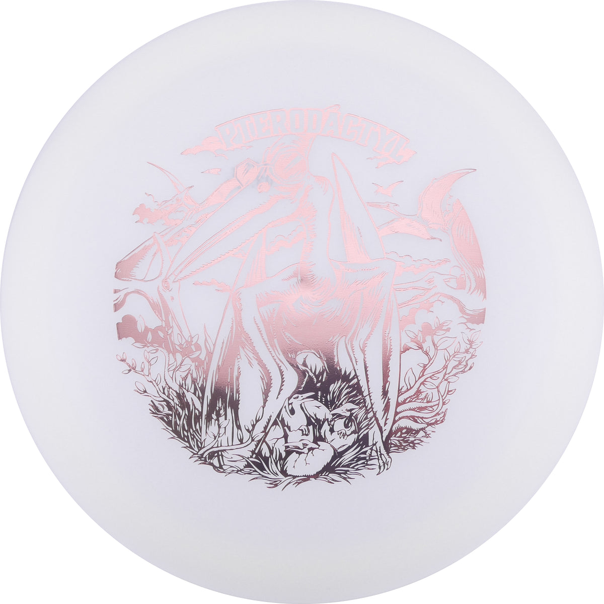Shell Disc Tops Dino Discs | Egg Shell Pterodactlus