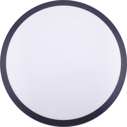 Fission_Neutron_Tesla_Blank_172g