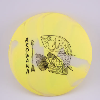 glO-G Arowana