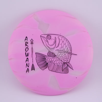 glO-G Arowana