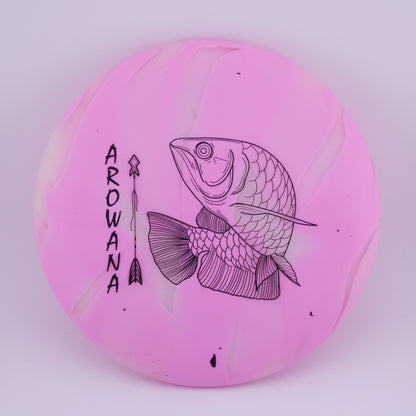glO-G Arowana