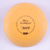 DGA Signature Line Blunt putt & approach disc disc golf disc