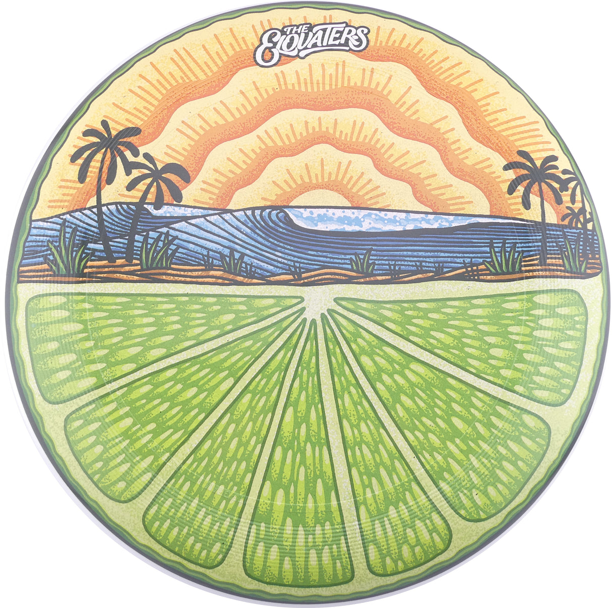 Discraft WBand UltraStar Full Print – The Elovaters Margaritas 175g