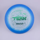Innova Champion Discs (Used)