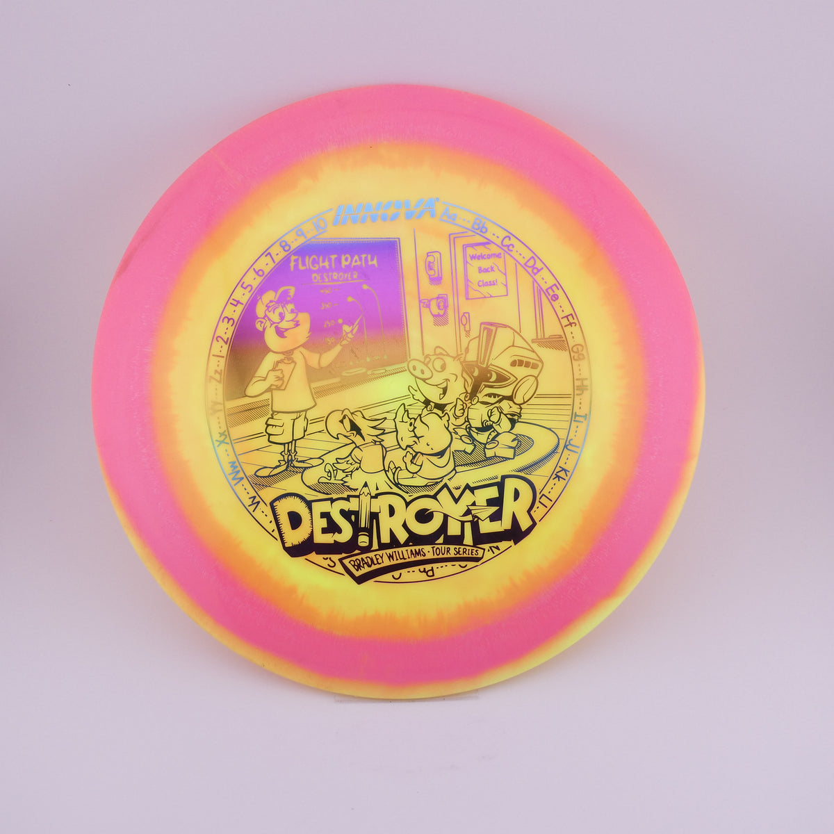 Innova Champion Discs (Used)