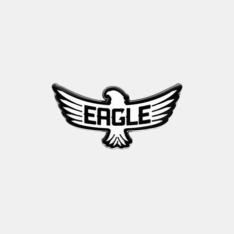 Eagle Icon Pin