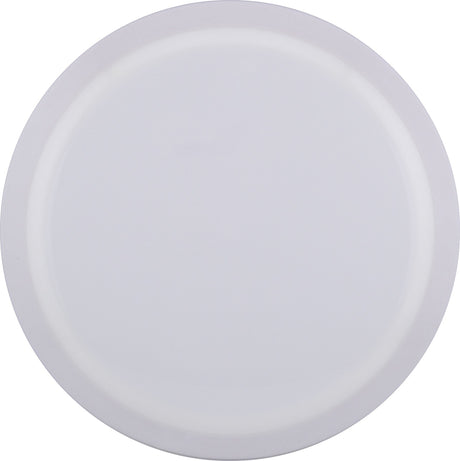 Axiom Neutron Vanish 170-175g (Blank) understable distance driver disc golf disc