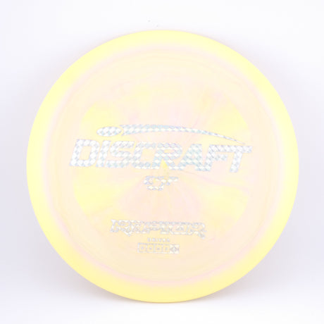 Discraft ESP Raptor 173-174g control driver disc golf disc