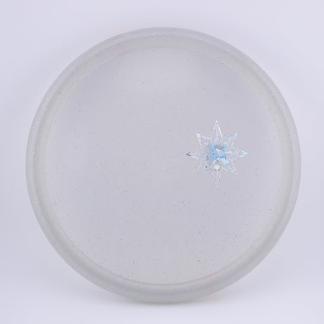 Founders Armadillo - Leah T Tour Series 2023 disc golf disc
